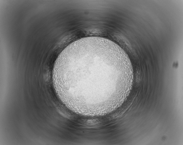 X0000098100173200805021118