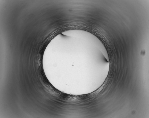 X0000098100174200805021118