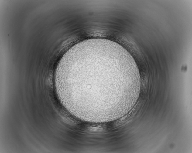 X0000098100175200805021118