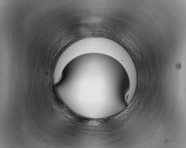 X0000098100176200805021118