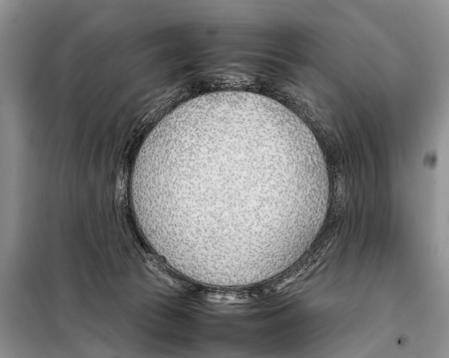 X0000098100177200805021118