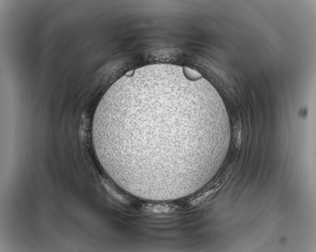 X0000098100181200805021118