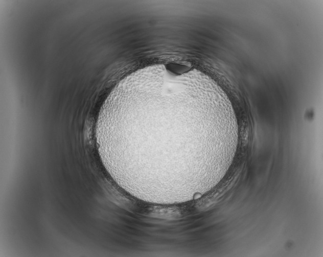 X0000098100185200805021118