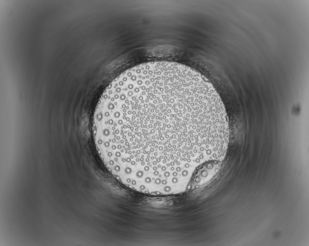X0000098100187200805021118