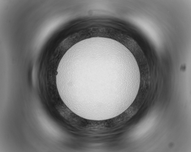 X0000098100189200805021118
