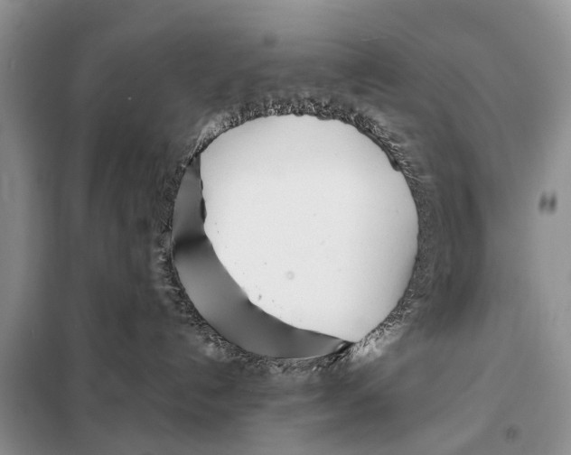 X0000098100192200805021118