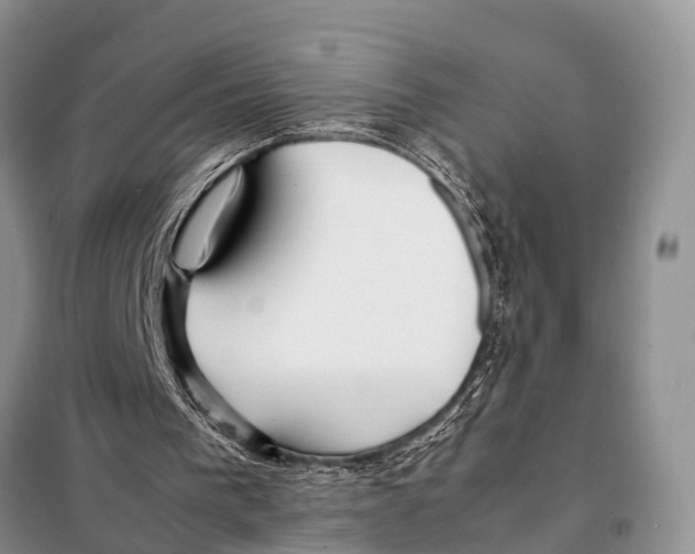 X0000098100193200805021117