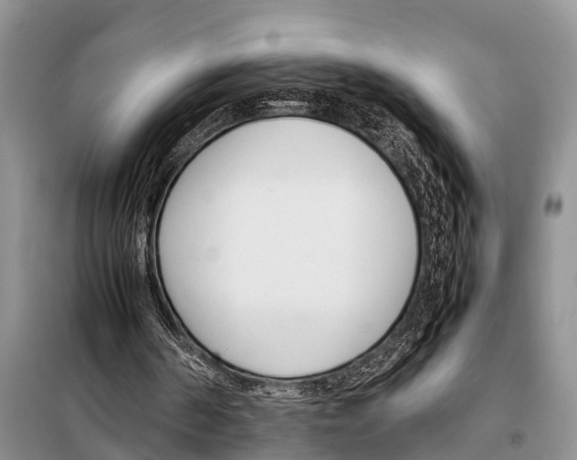 X0000098100194200805021117