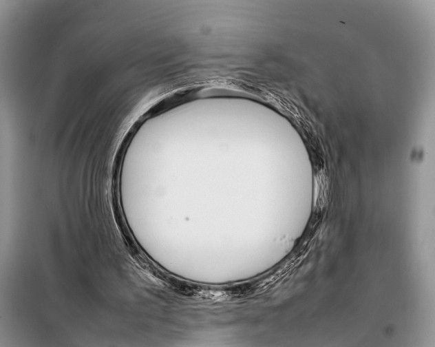 X0000098100195200805021117