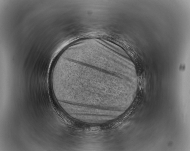 X0000098100196200805021117