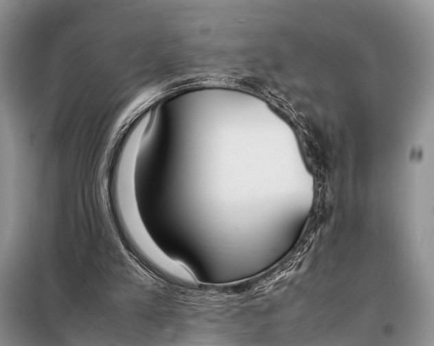 X0000098100197200805021117