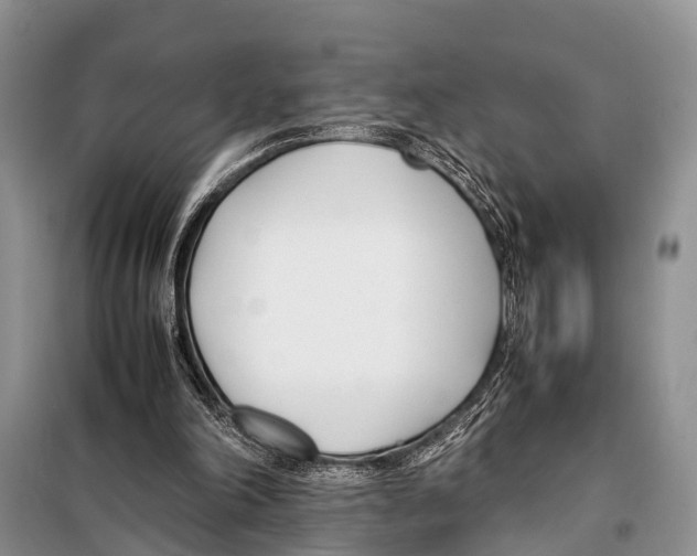 X0000098100198200805021117