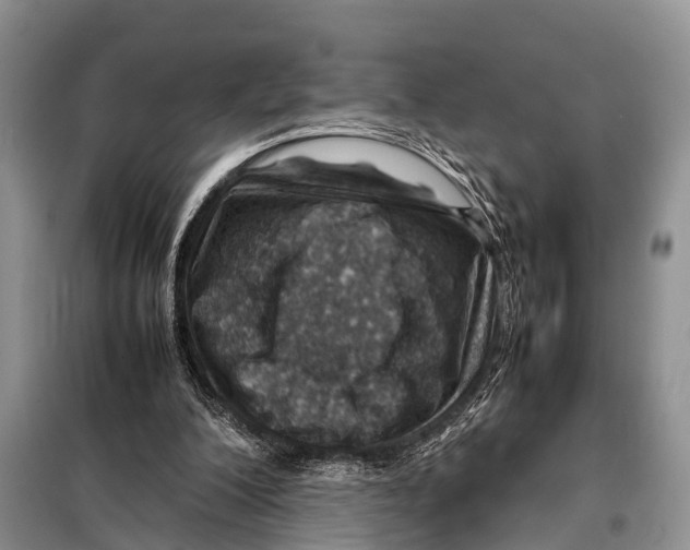 X0000098100200200805021117