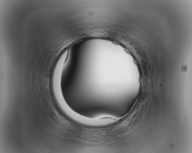 X0000098100201200805021117