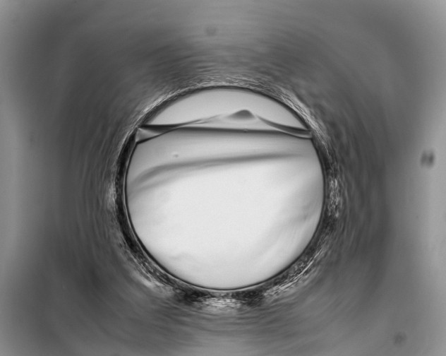 X0000098100203200805021117