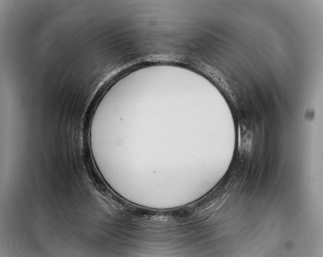 X0000098100204200805021117