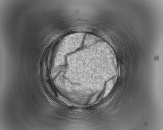 X0000098100205200805021117