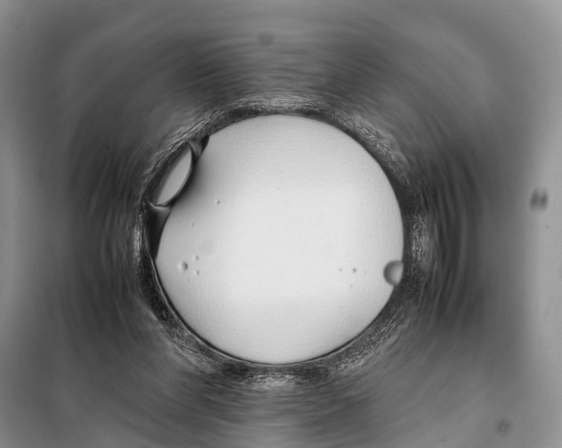 X0000098100206200805021117