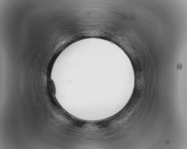 X0000098100207200805021117
