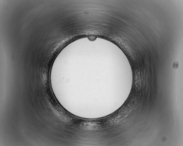 X0000098100208200805021117