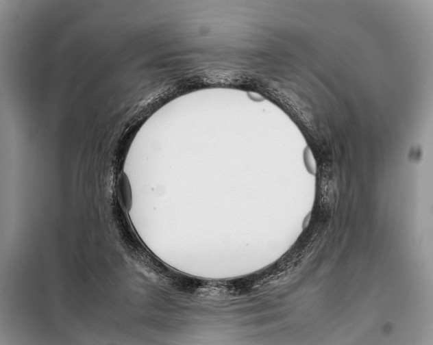 X0000098100211200805021117