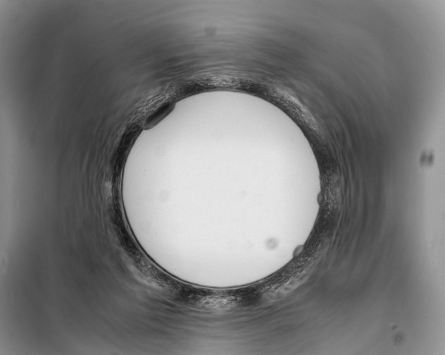 X0000098100213200805021117