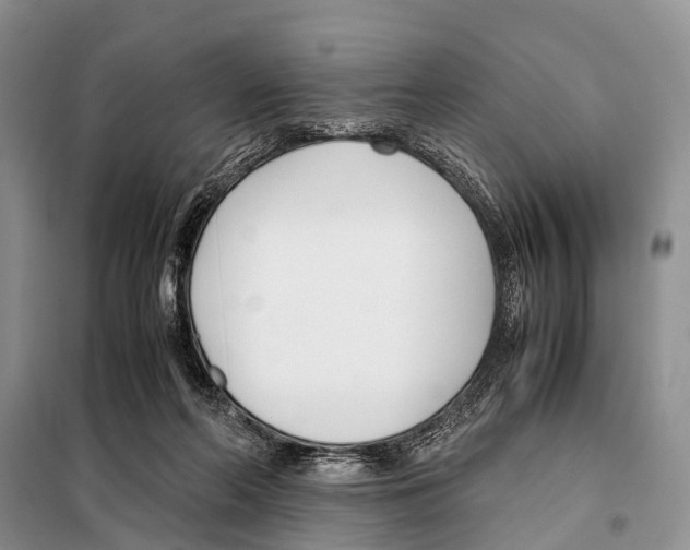 X0000098100214200805021117