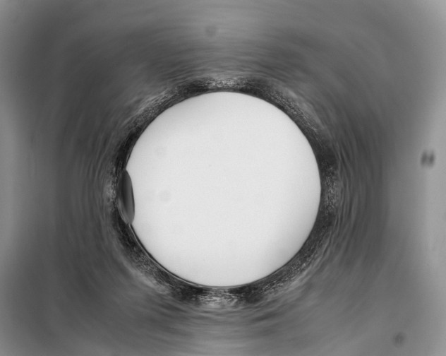 X0000098100215200805021117