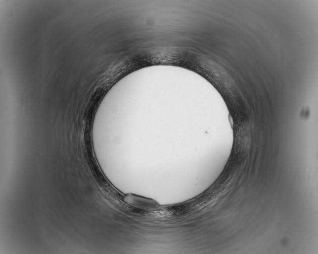 X0000098100217200805021117