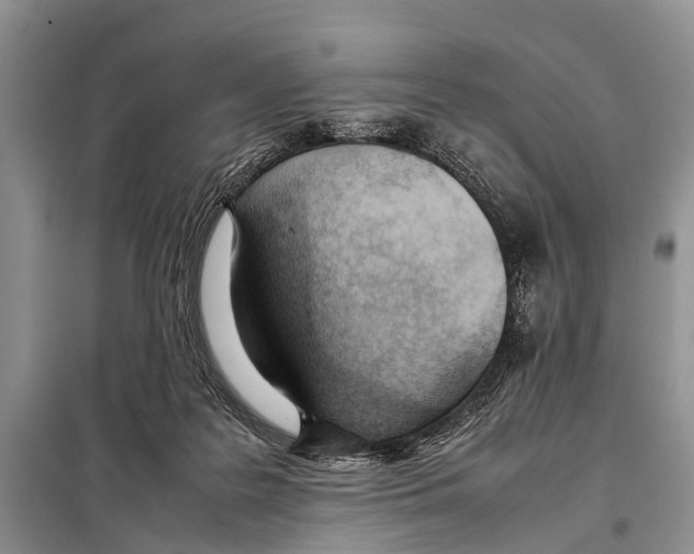 X0000098100219200805021117