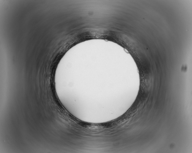 X0000098100221200805021117