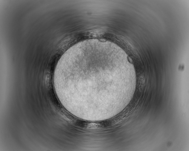 X0000098100222200805021117