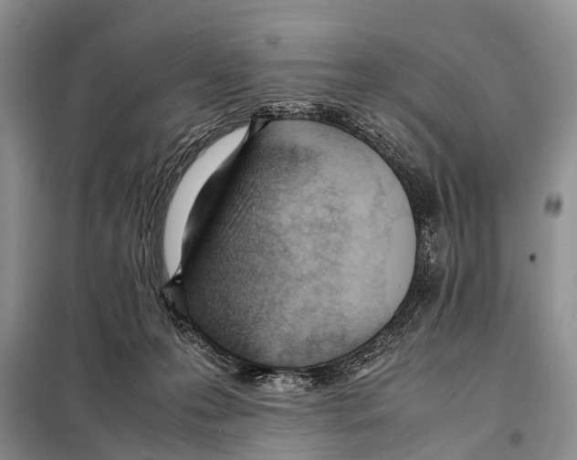 X0000098100223200805021117