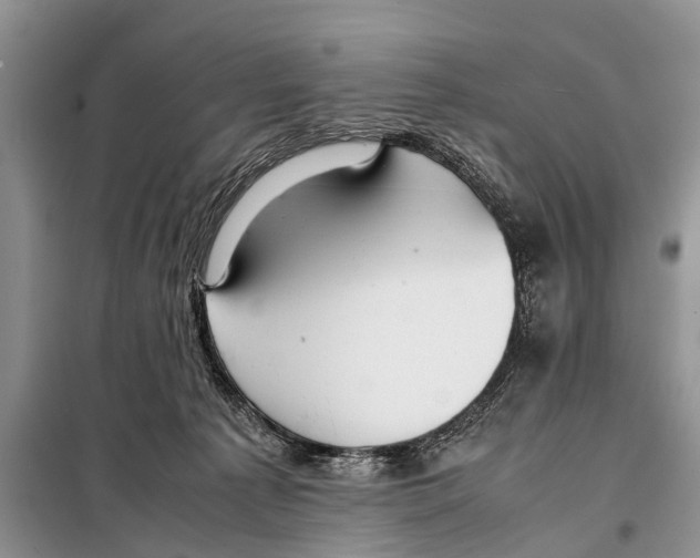 X0000098100225200805021117