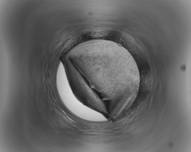X0000098100227200805021117