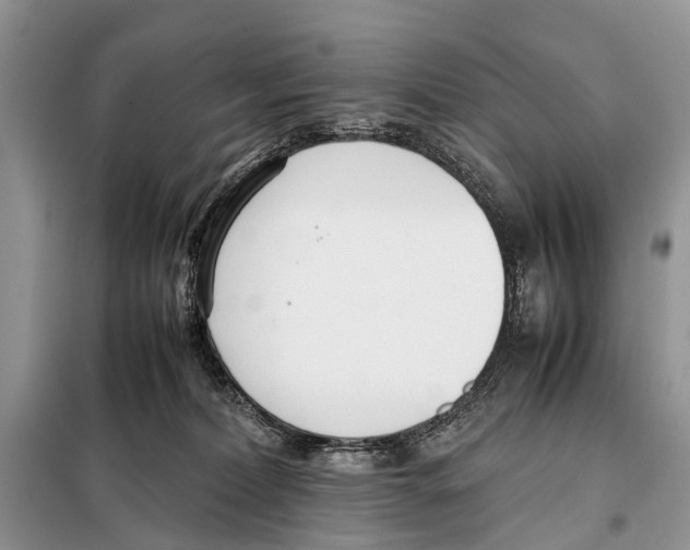 X0000098100228200805021117