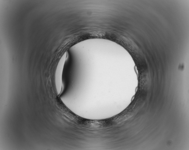 X0000098100229200805021117