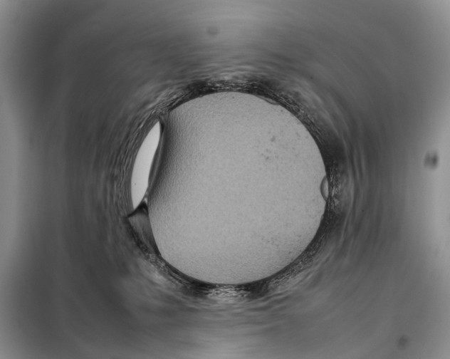 X0000098100231200805021117