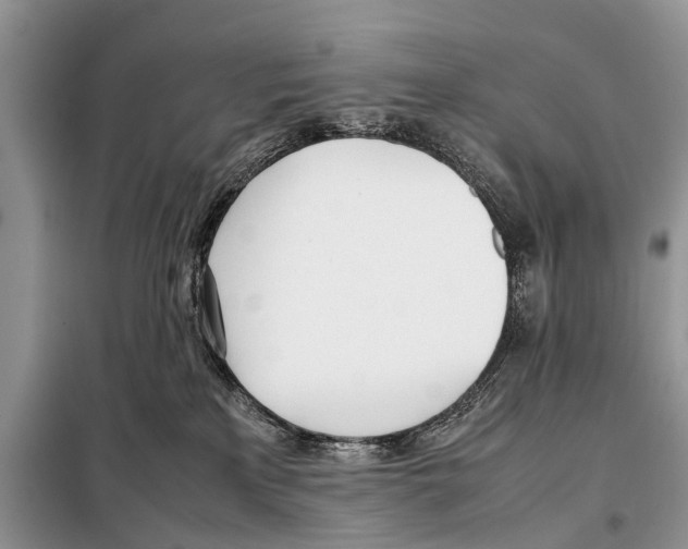 X0000098100233200805021117