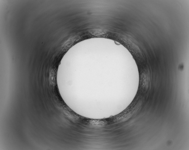 X0000098100234200805021117