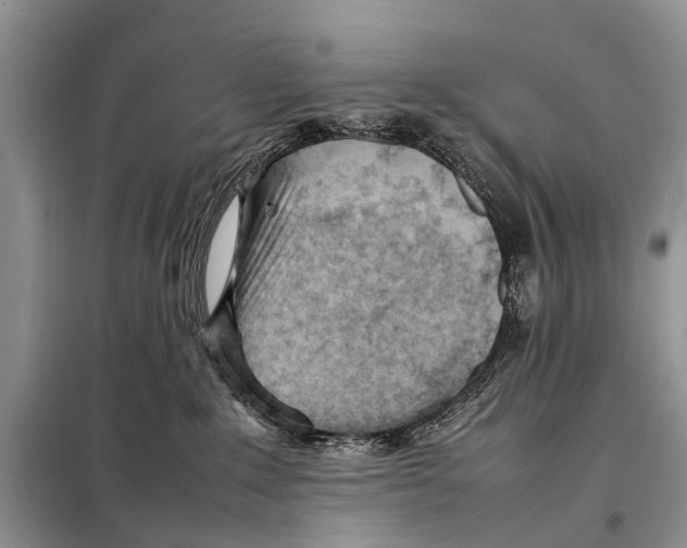 X0000098100235200805021117