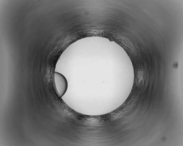 X0000098100236200805021117