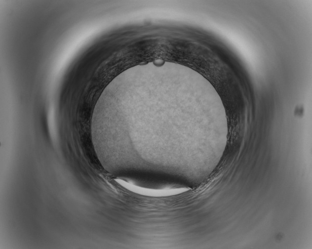 X0000098100239200805021117