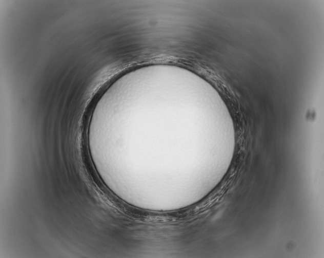 X0000098100242200805021116