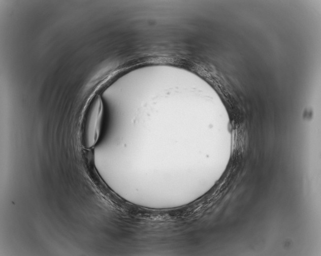 X0000098100243200805021116