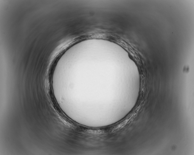 X0000098100245200805021116