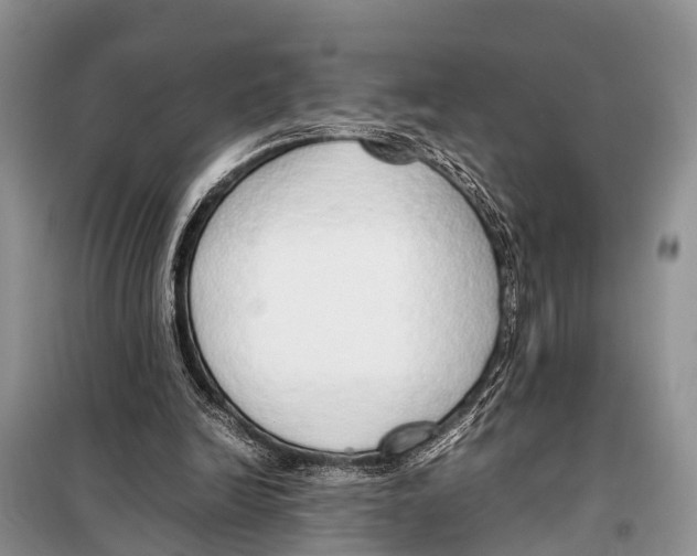 X0000098100246200805021116