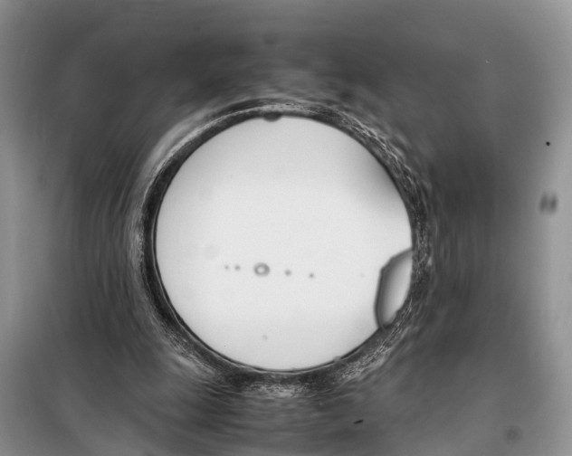 X0000098100247200805021116