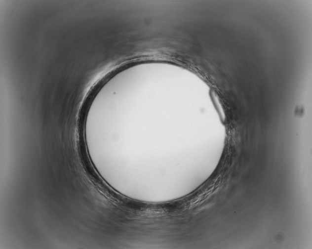 X0000098100248200805021116