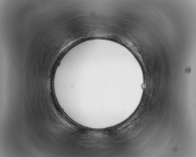 X0000098100249200805021116
